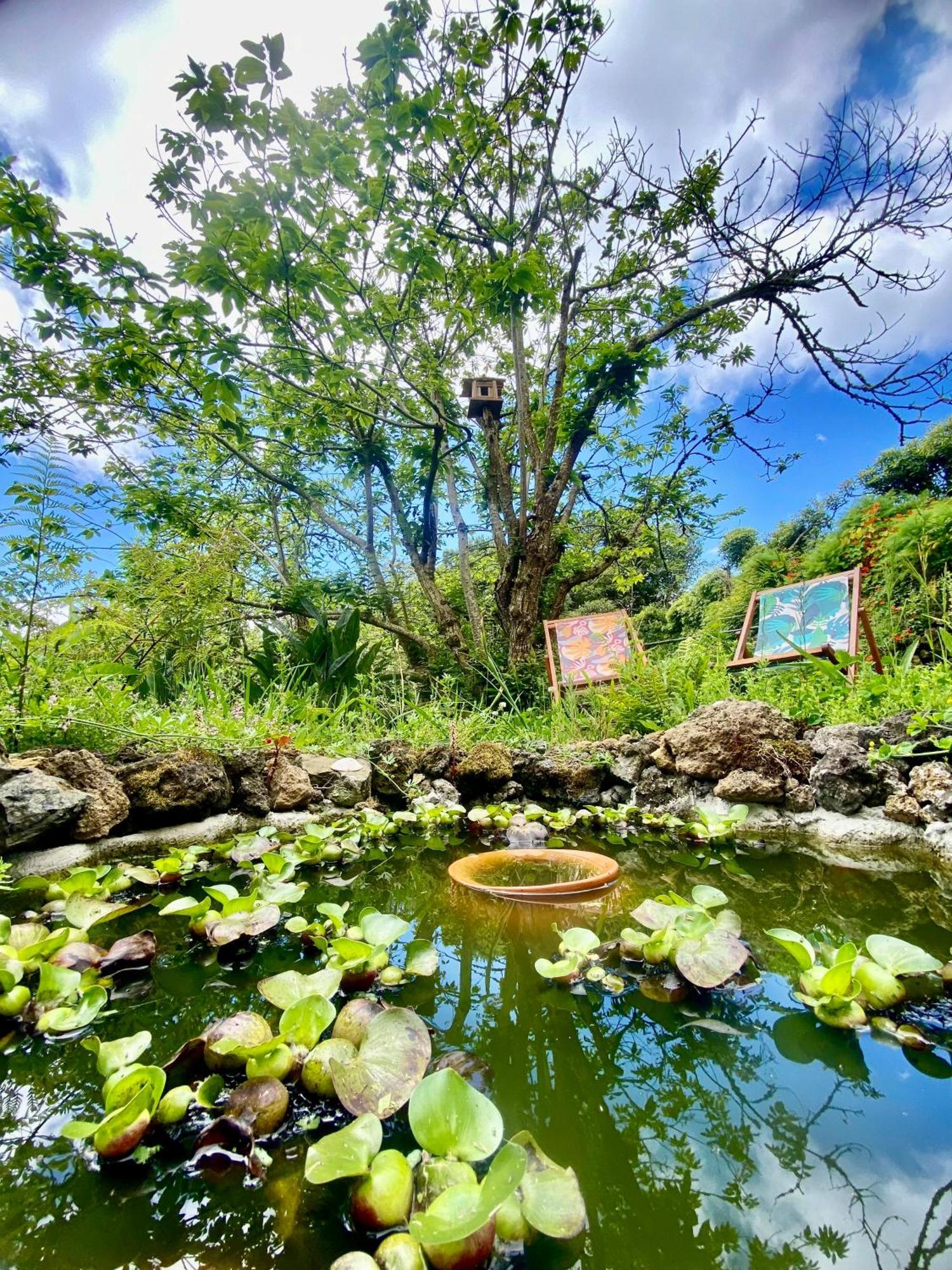 Casa Dos Castanheiros Angra Do Heroismo Terra Chã Kültér fotó